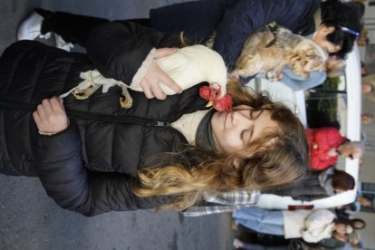 Bendición de los animales.