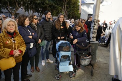 En carrito para bendecir al perro.