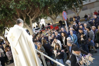 Bendición de los animales.