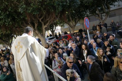 Bendición de los animales.