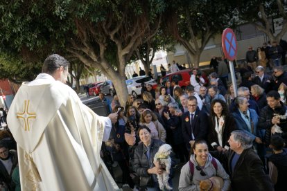 Bendición de los animales.