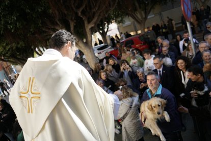 Bendición de los animales.