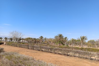 Así está ahora mismo el Parque del Boticario