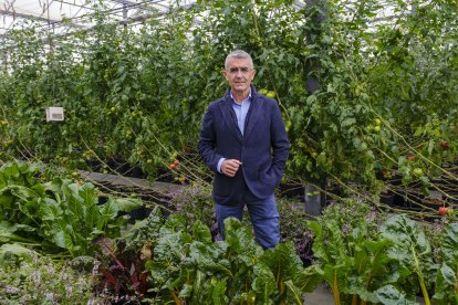 Roberto Gárcia Torrente, responsable del Centro de Investigación de Cajamar, Las Palmerillas, posa en un invernadero de investigación.