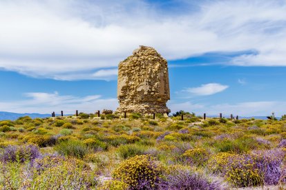 Punta Entina Sabinar.