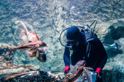 Aquarium de Roquetas de Mar.
