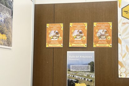 Descubre el sabor de la mejor miel de España, premiada por su excelencia.