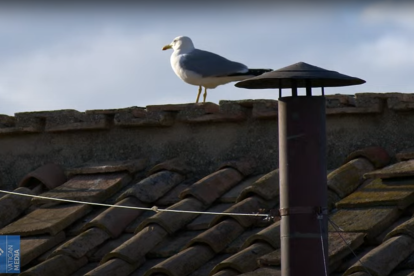 Imagen de la chimenea del cónclave que anunciará cuándo hay un sustituto para el Papa Francisco.