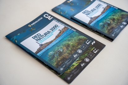 Proyecto a nivel europeo