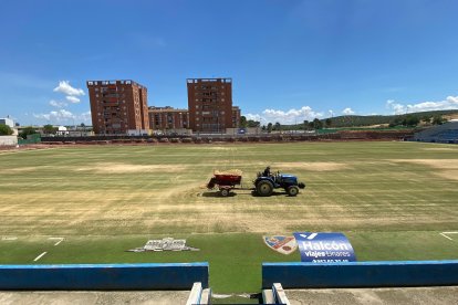 En 2026 al viejo campo de Linarejos no lo van a conocer.
