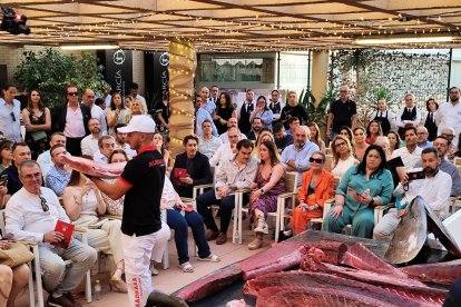 Descripción de la imagen