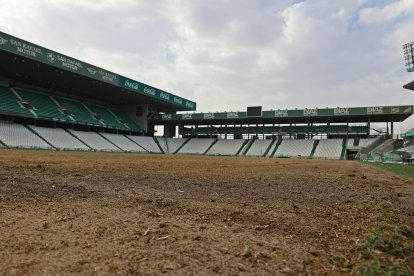 Uno de los templos del fútbol andaluz se prepara para la nueva temporada.