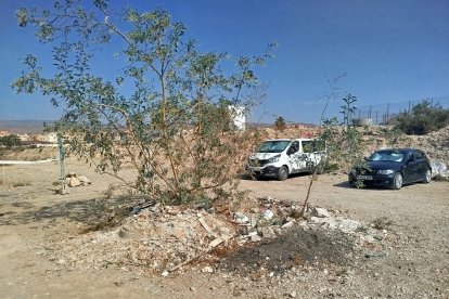 Suciedad acumulada bajo el arbolado