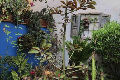 Imagen cedida por el propietario.