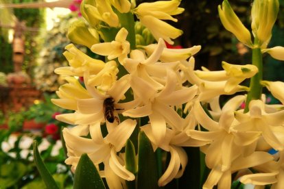 Imagen cedida por el propietario.