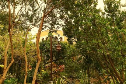 Imagen cedida por el propietario.