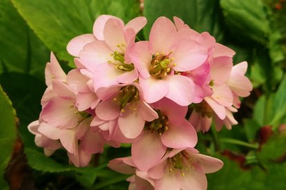 Imagen cedida por el propietario.