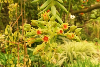 Imagen cedida por el propietario.