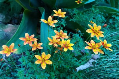 Imagen cedida por el propietario.