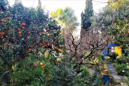 Imagen cedida por el propietario.