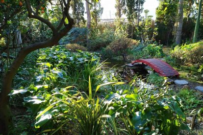 Imagen cedida por el propietario.