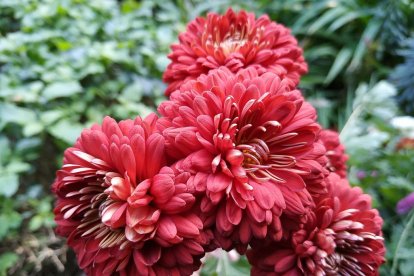 Imagen cedida por el propietario.