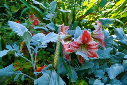 Imagen cedida por el propietario.