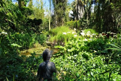 Imagen cedida por el propietario.