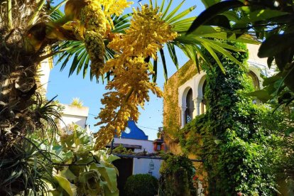 Imagen cedida por el propietario.