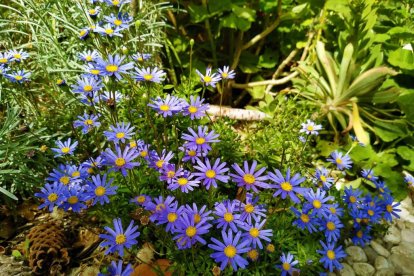 Imagen cedida por el propietario.