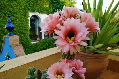 Imagen cedida por el propietario.