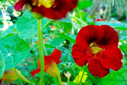 Imagen cedida por el propietario.