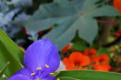 Imagen cedida por el propietario.