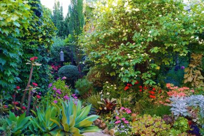 Imagen cedida por el propietario.