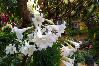 Imagen cedida por el propietario.