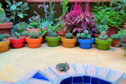 Imagen cedida por el propietario.