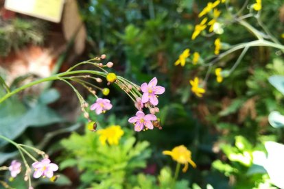 Imagen cedida por el propietario.