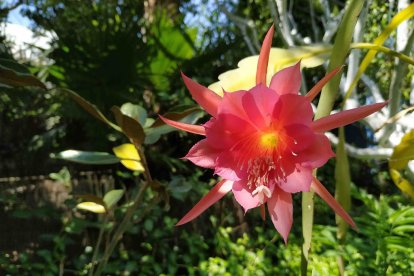 Imagen cedida por el propietario.