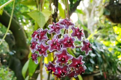 Imagen cedida por el propietario.