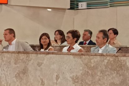 Grupo Municipal Socialista en el plenario