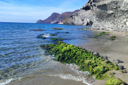 Cala Chica del Barronal
