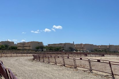 Descripción de la imagen