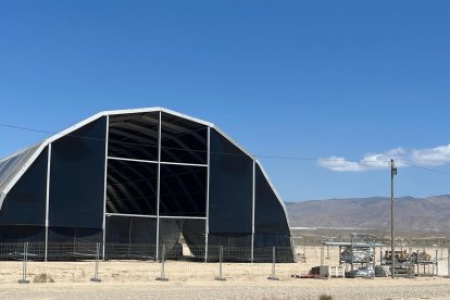 Descripción de la imagen