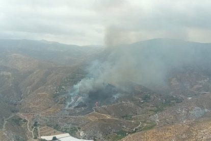 Incendio forestal en Berja