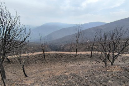 Imagen de cómo han quedado Las Médulas tras el incendio.