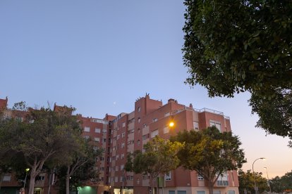 Cigüeñas en edificios de Almería capital, en la tarde del pasado miércoles 20 de agosto.