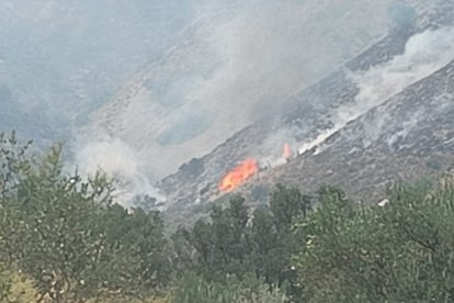 Imagen del incendio este mediodía.