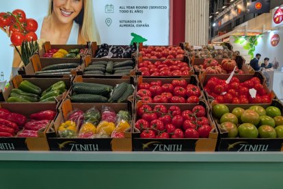 Zenith, el buque insignia de Mercophal.