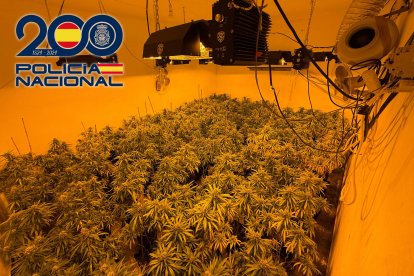 Operación Zaka-Kremlin