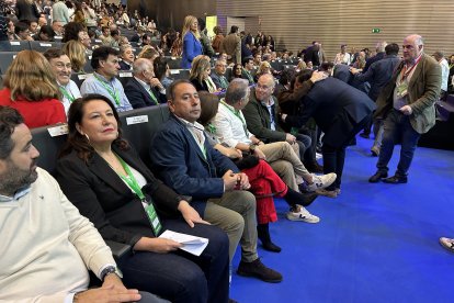 FRANCISCO J. OLMO-EUROPA PRESS
08/11/2025